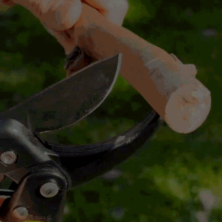 Heavy-Duty Garden Pruning Shears