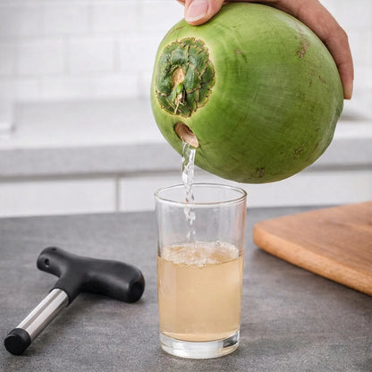 Stainless Steel Coconut Opener Tool | Easy Tender Coconut Punch Opener | Portable Coconut Water Opening Tool
