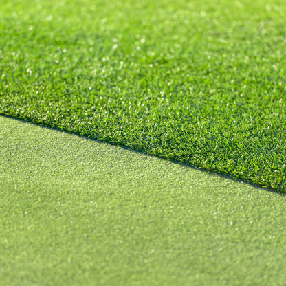 All Seasons Evergreen Grass Seeds | Fast Germination | Year-Round Beautiful Green Lawn
